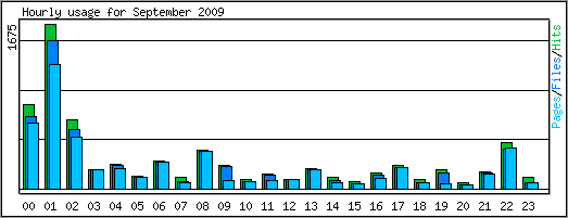 Hourly usage