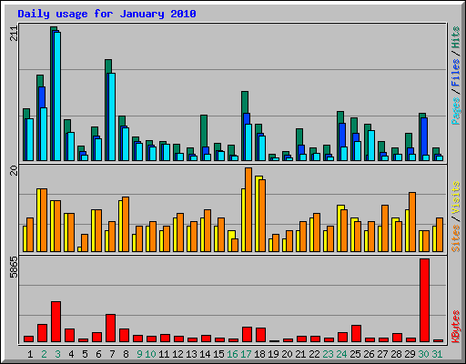 Daily usage for January 2010