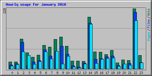 Hourly usage for January 2010